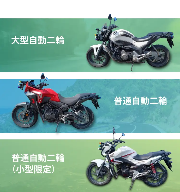 bike3typesp