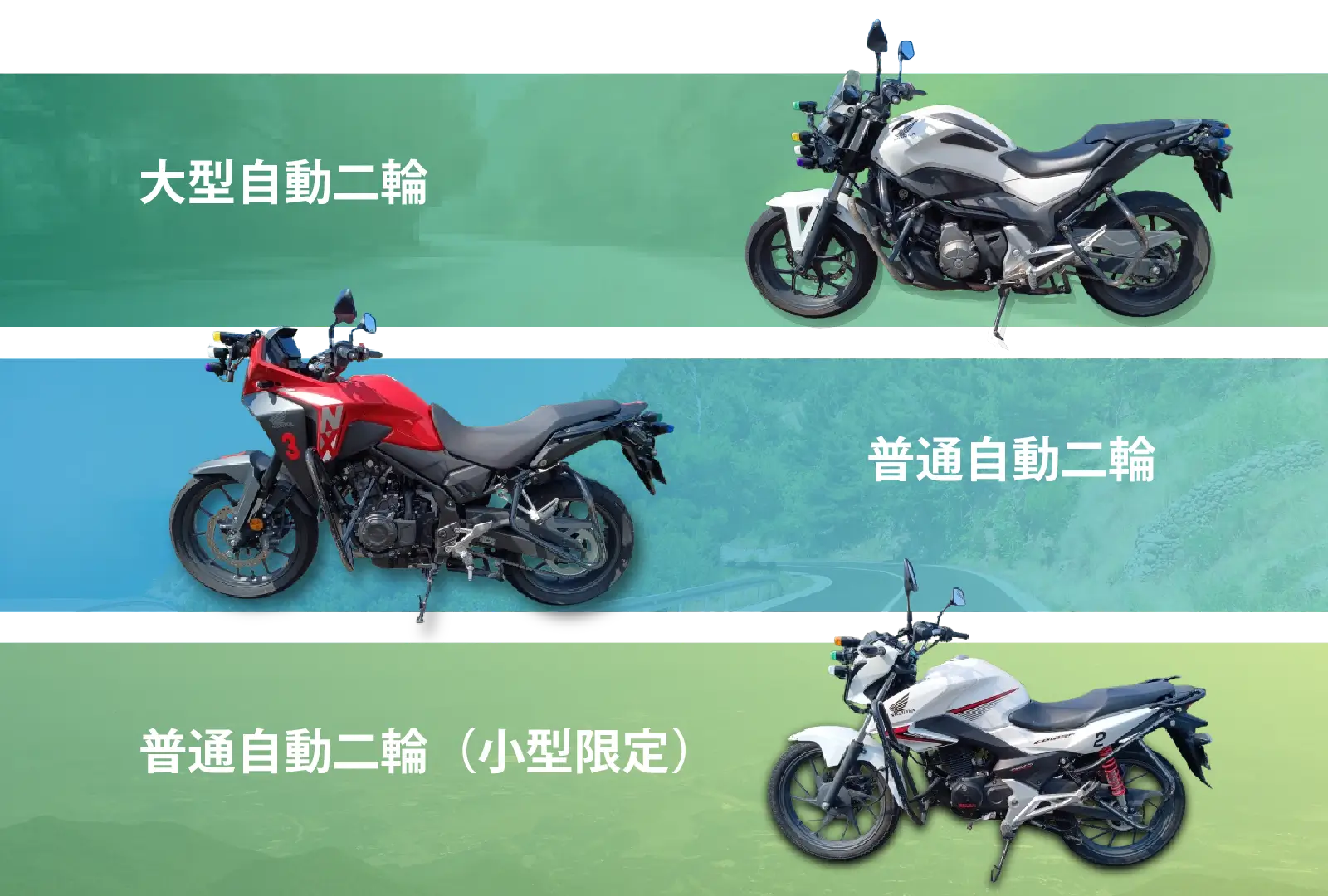 biketypepc